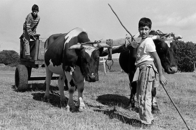 FUEGUITOS Photojournalism and Documentary Black and White (Digital)