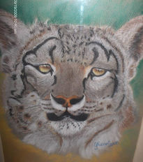 Leopardo de las nieves