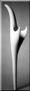 Mireya V