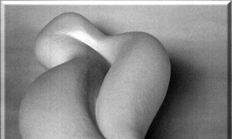 Movimiento en Blanco