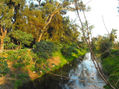 canal nacional