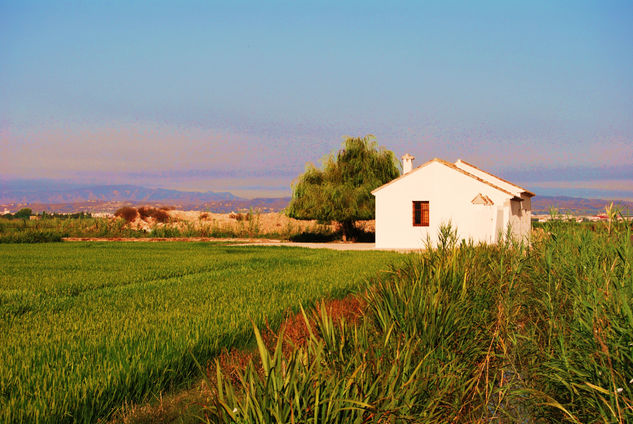 Paisajes Parque Natural de La Albufera 