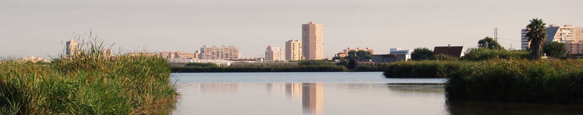 Imagen de portada