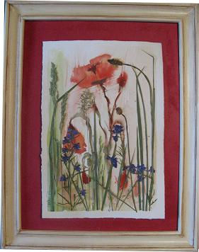 Amapolas