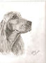 dibujo