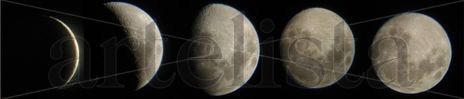 Ciclo lunar