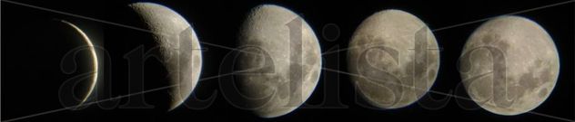 Ciclo lunar