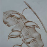 Dibujos thumbnail 2