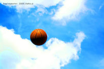 Basket_02