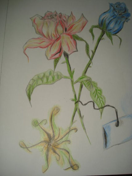 Flores