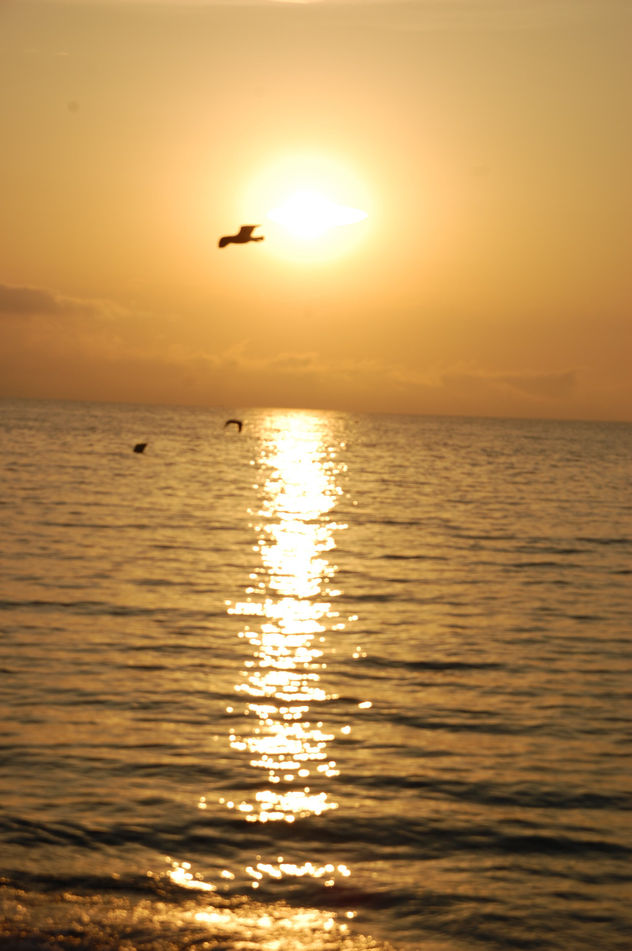 Amanecer 3   2009