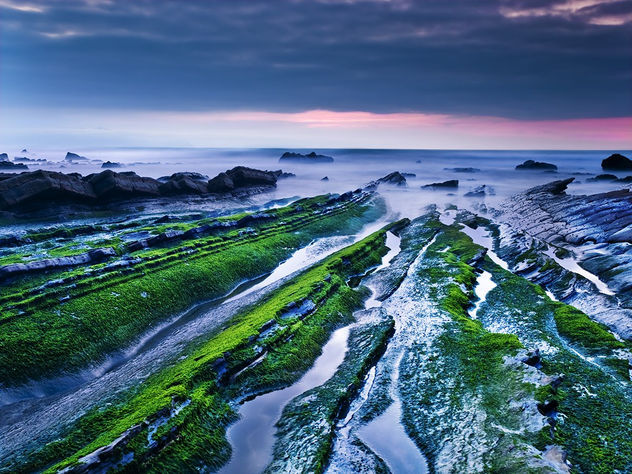 PRIMAVERA EN LA COSTA
