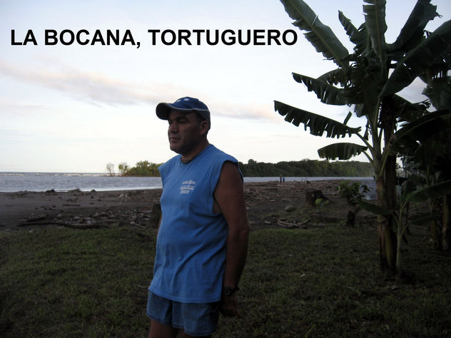 LA VOCANA,  EN EL CERRO DE TORTUGUERO,COSTA RICA