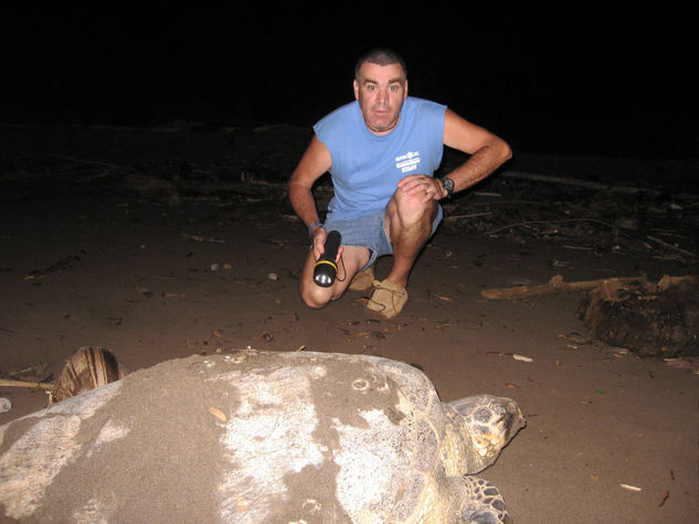 NOCHE DE TORTUGAS EN EL CERRO DE TORTUGUERO,COSTA RICA 