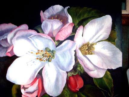 FLORES ( acrilico...