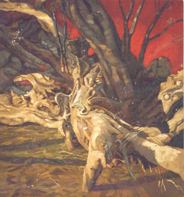 "la raiz" colecc"colores de mi region de walter ramos "