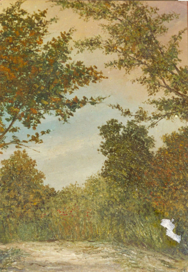 "paisaje " colecc:"colores de mi region de walter ramos"