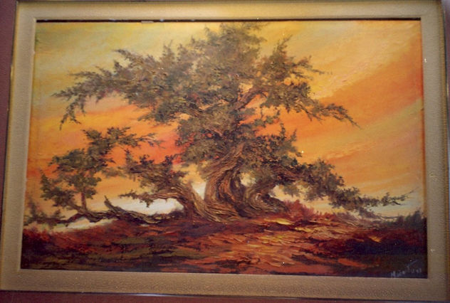 "el huarango milenario" colecc:"colores de mi region de walter ramos"