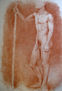 desnudo masculino