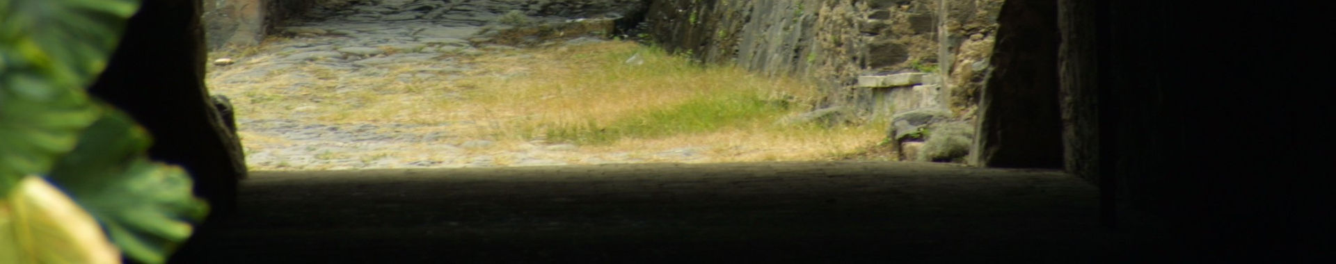 Imagen de portada