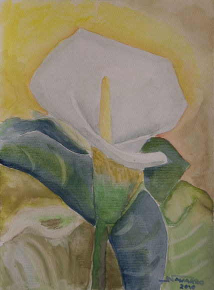 "Cala"