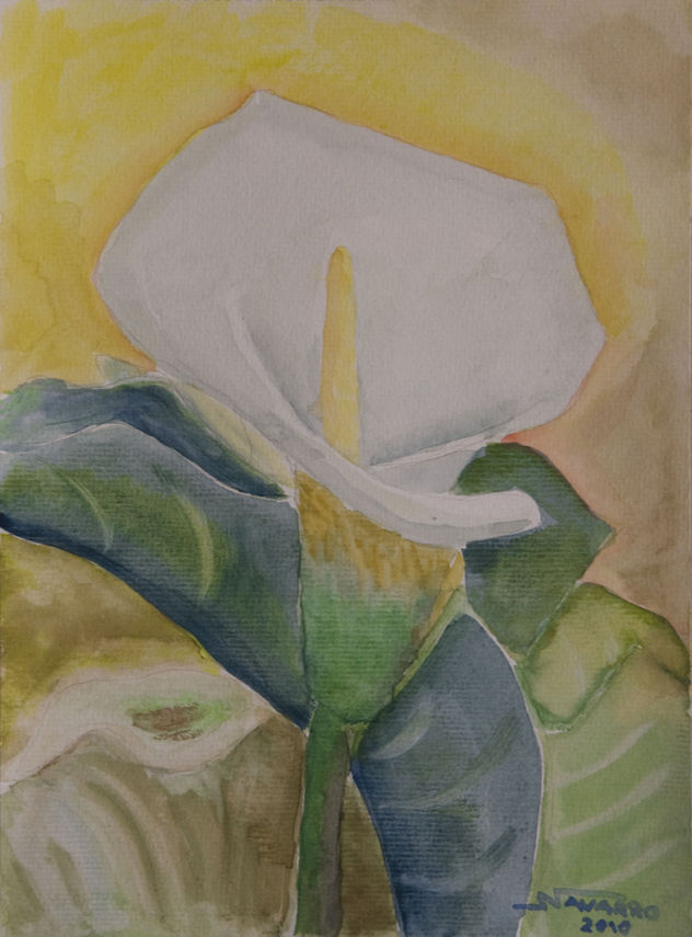 "Cala"