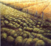 "MI CAMINO"