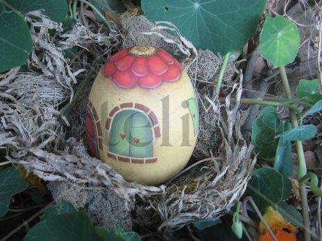 Egg`s house