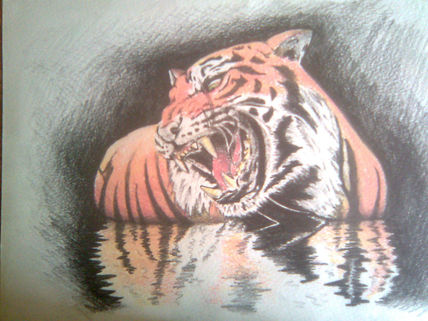 Tigre