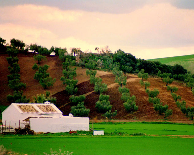 Invierno en el campo Nature Color (Manual)