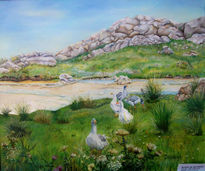 Arroyo de los Patos