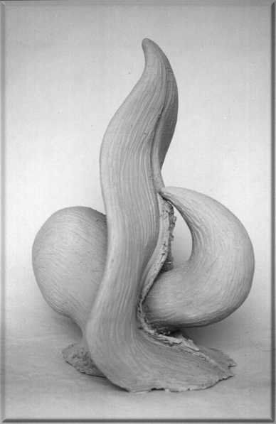 Biomorfo