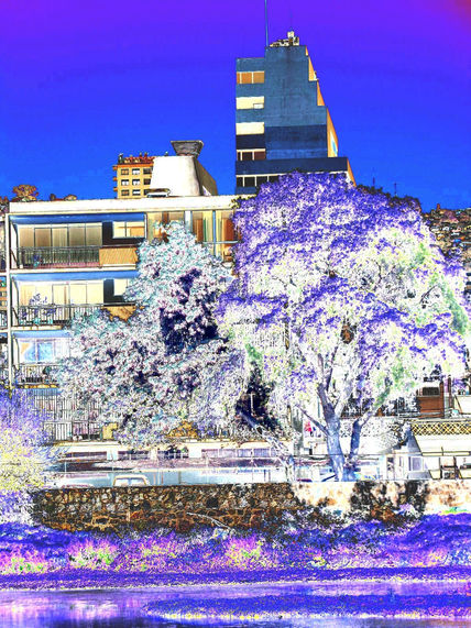 El Arbol