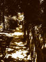El Túnel