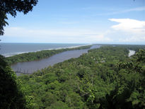 Tortuguero,costa...