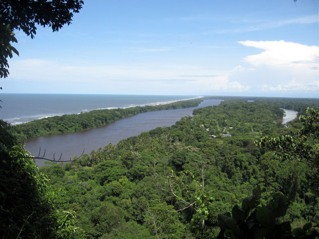 tortuguero,costa rica, zona atlantica 