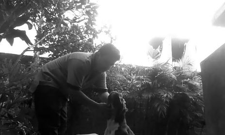 fotos