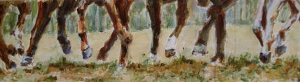 Caballos