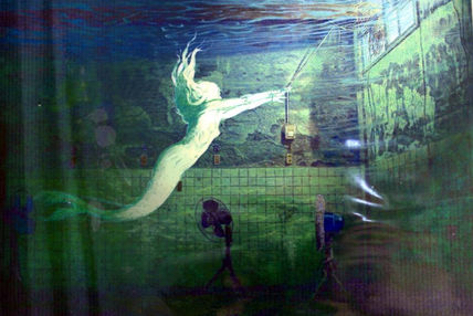 美人魚<mermaid>