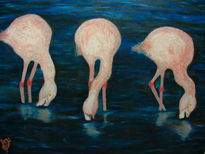 Flamingo chileno...