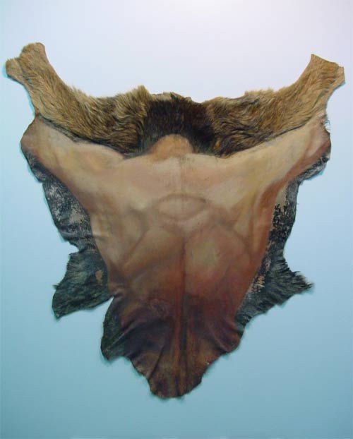 P 01.05
