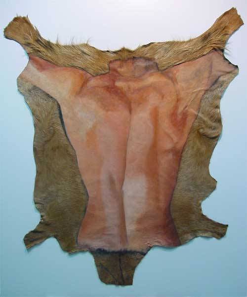 P 02.05