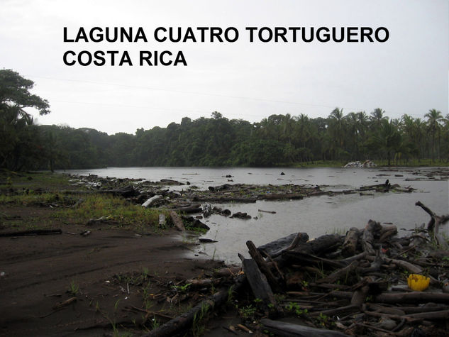 tortuguero,COSTA RICA 