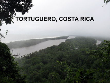 tortuguero,COSTA RICA