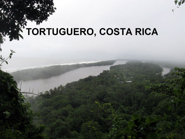 tortuguero,COSTA RICA 