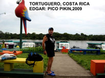 Tortuguero,costa...