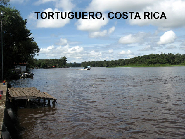 TORTUGUERO,COSTA RICA,2009 