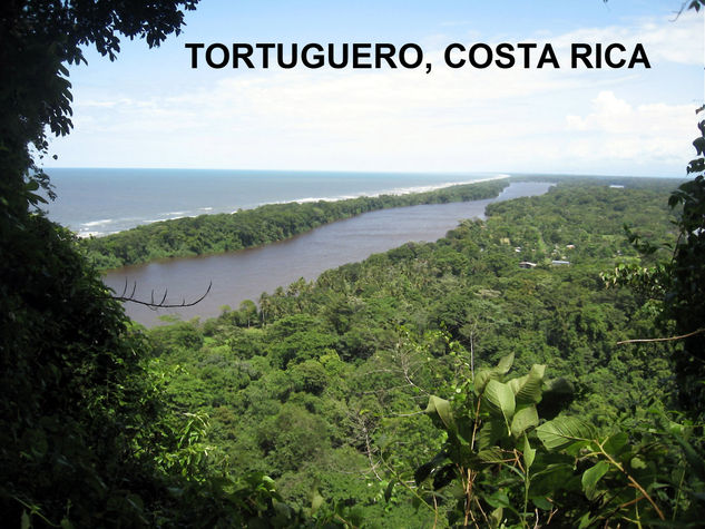 TORTUGUERO,COSTA RICA,2009 