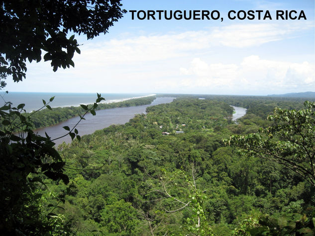 TORTUGUERO,COSTA RICA,2009 