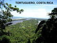 TORTUGUERO,COSTA RICA,2009